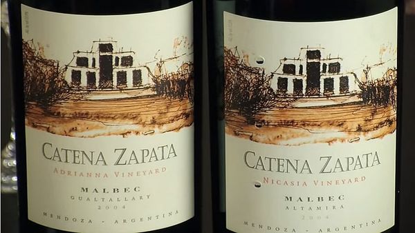 A tale of the vine: From to the Old World to modern-day Marblehead