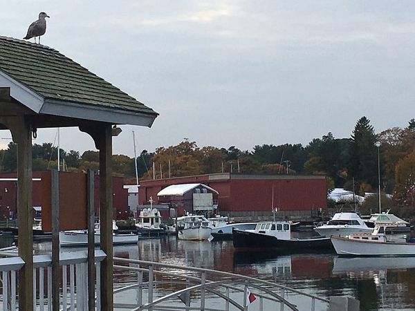 Manchester by the Sea movie review