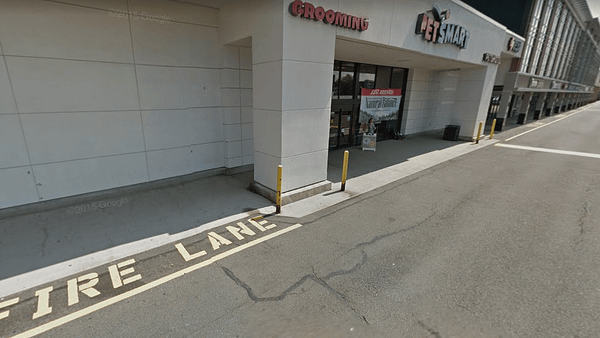 Cambridge On Verge Of Banning Pet Shops