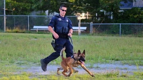 Disassembled Gun Parts, $25,000 Cash Found in Home Where Yarmouth Police Officer Was Shot To Death