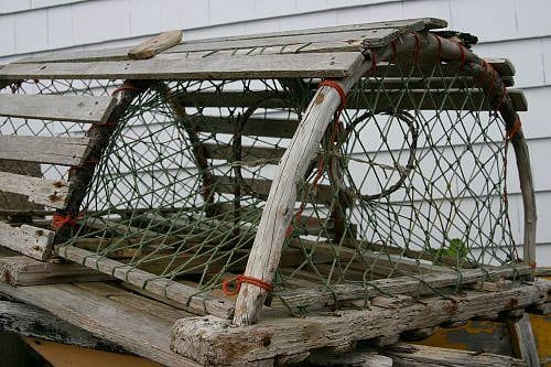 Environmentalist Seeks Emergency Injunction Against Vertical Lobster Trap Lines