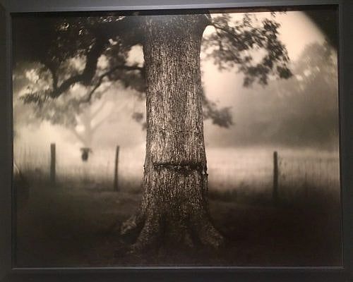 ‘A Thousand Crossings’ Chronicles Life of Photographic Artist