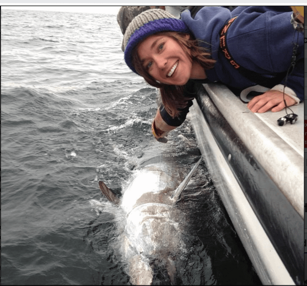 State Offers Cash To Deal With Shark Attacks on Cape Cod – But Only After They Occur
