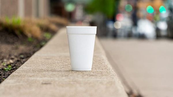 Maine City Councilor Supports Banning Styrofoam Because She Doesn’t See Having Grandchildren Otherwise