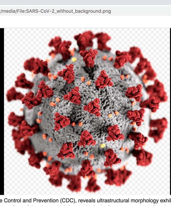 Five Ways To Negate Coronavirus’s Impact They’re Not Emphasizing Enough