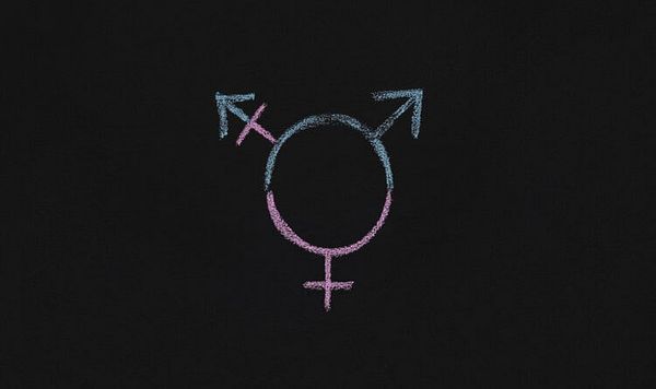 What’s In the Worcester Sex Curriculum?  Details …  Explicit Language Warning