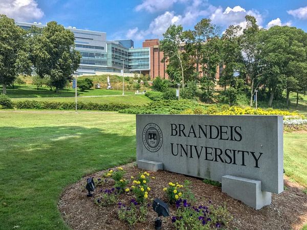 ‘Picnic,’ ‘Congressman,’ and ‘Walk-In’ Constitute Oppressive Language, Brandeis University Says