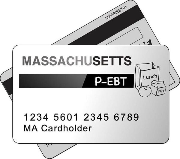 Stop & Shop Now Accepting EBT Cards For Online Purchases