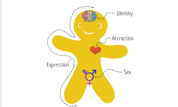Sharon Using Genderbread Person To Teach 11-Year-Olds That There Are Infinite Genders