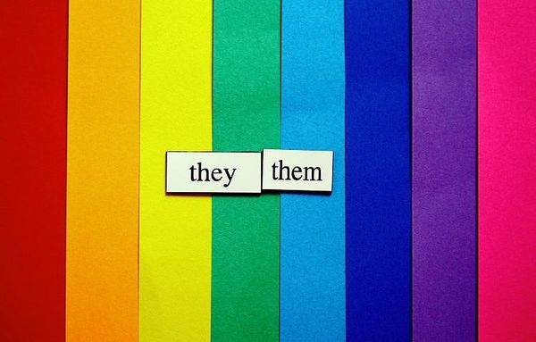 Several Massachusetts Schools Offer Nonbinary Gender Option On Student Registration Forms