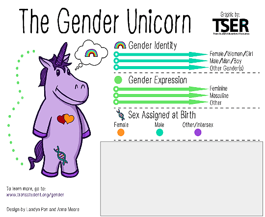 Arlington Public Schools Using ‘Gender Unicorn’ To Teach Fourth-Graders There Are Infinite Genders