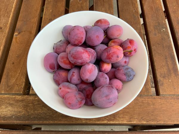 Plums