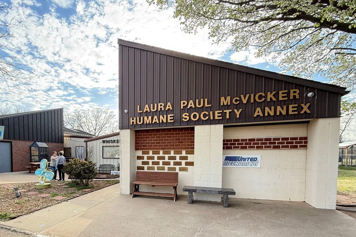 Humane Society Adapts Mission Amid Strained City Relationship