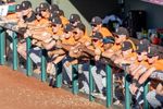 Oklahoma State Cowboys watch from the dugout during the Big 12 Baseball Tournament against Kansas on May 22, 2026, at Surprise Stadium in Surprise, Ariz.