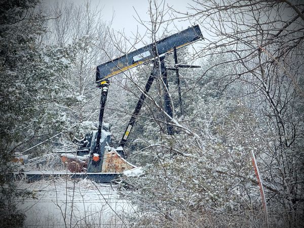 Machinery from an oil pump jack on a plugged well surrounded by snow covered tree and brush.