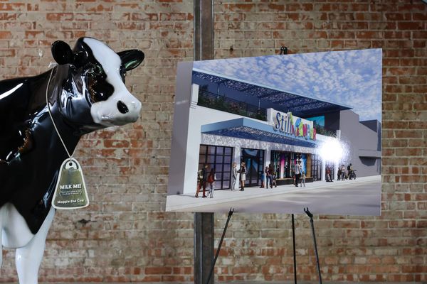 A black-and-white fiberglass cow wearing a "Milk me" tag stands beside an easel holding a rendering of the StillWonder children's museum storefront.
