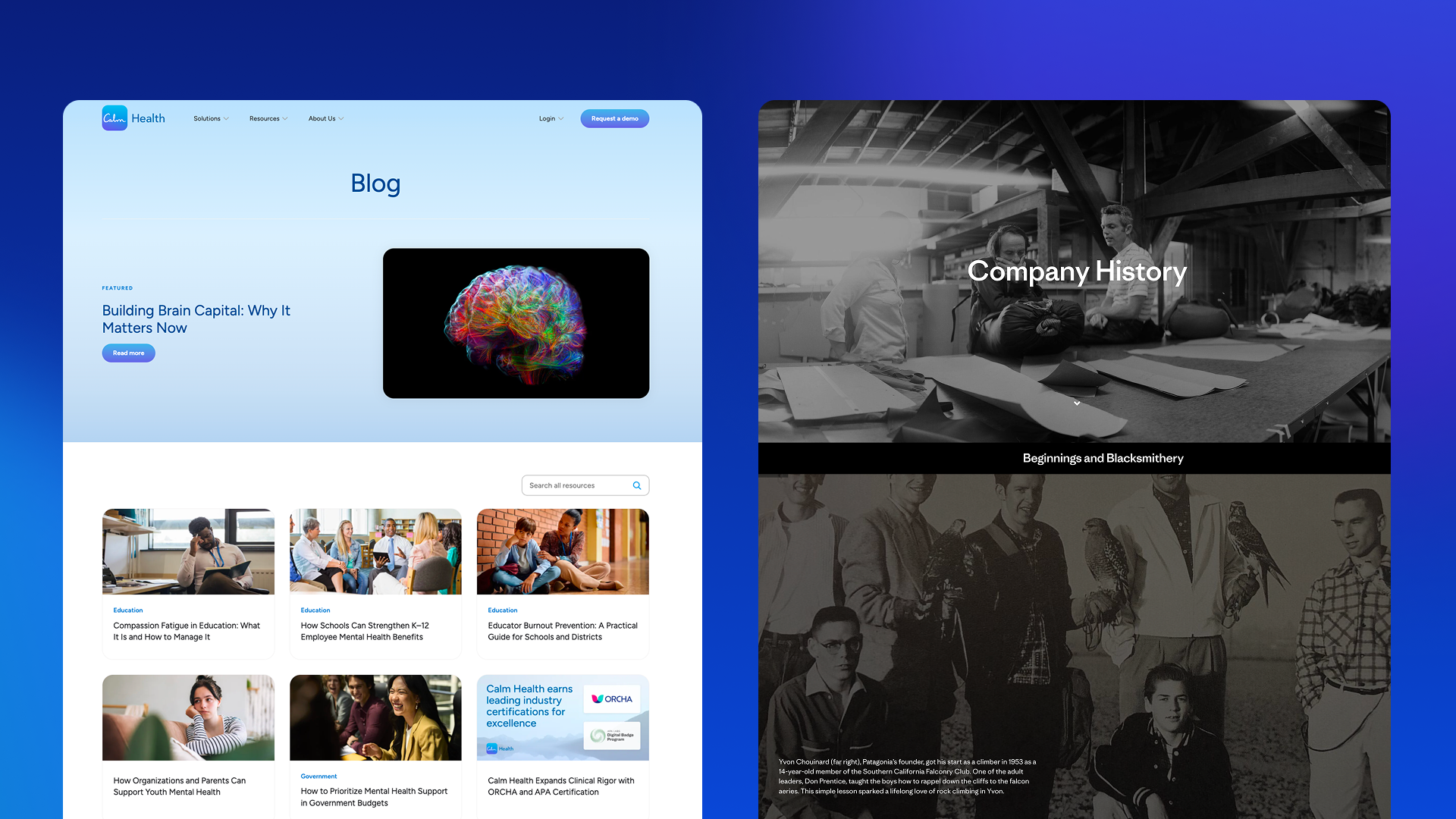 A screenshot of Calm's blog highlighting individual moments of usefulness vs Patagonia's history page