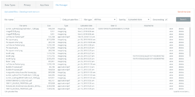 Bubble.io file manager.