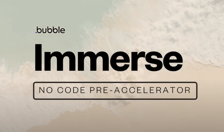 Immerse no-code pre-accelerator.