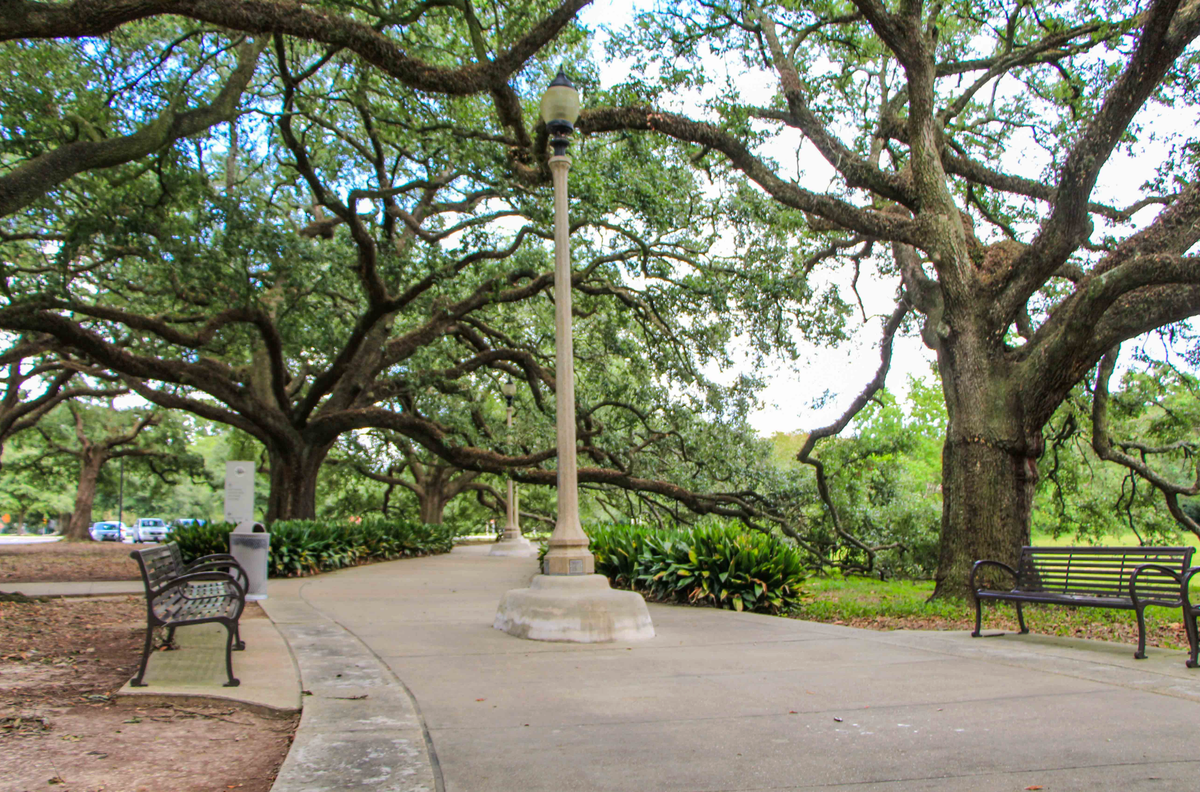 Two visions for a park