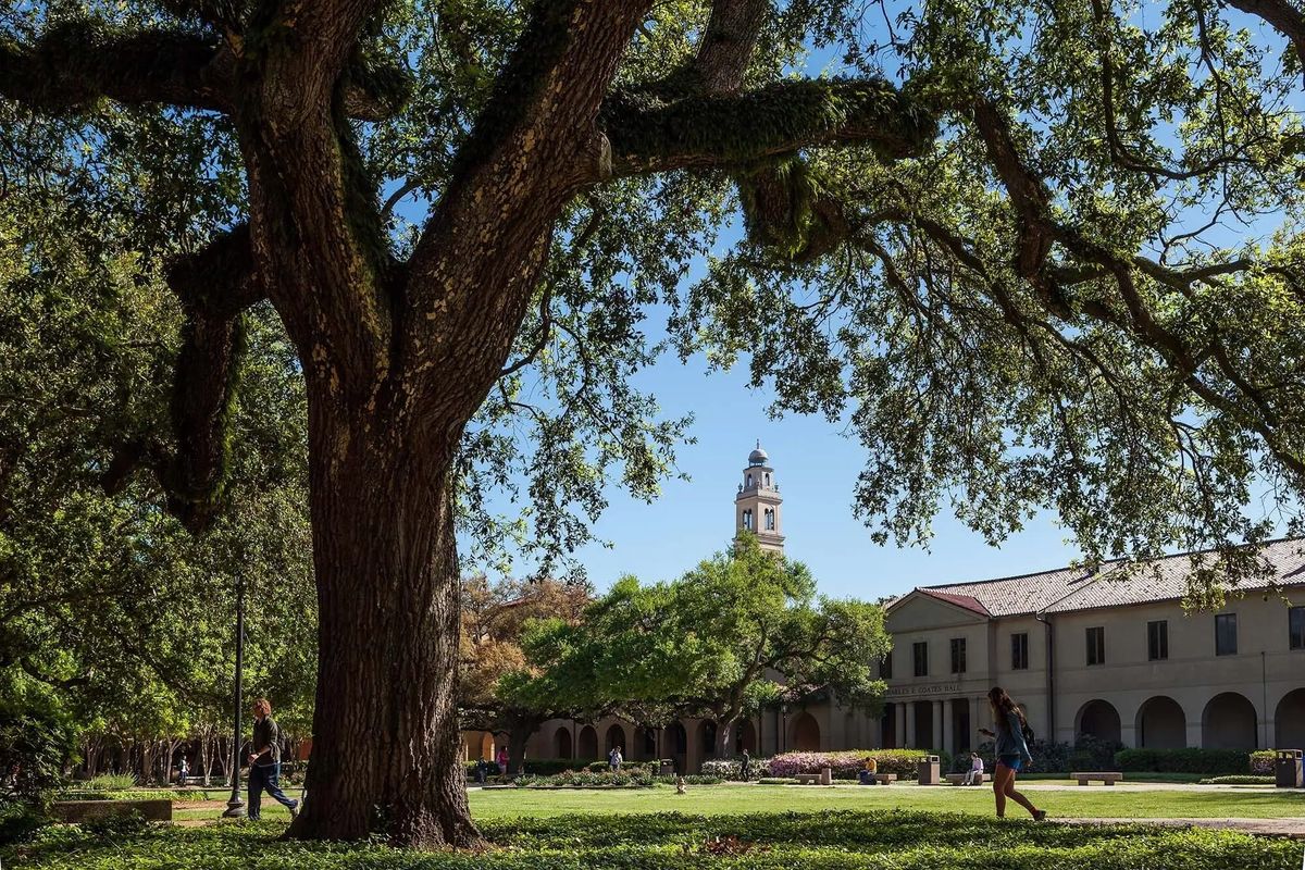 LSU roars into AI