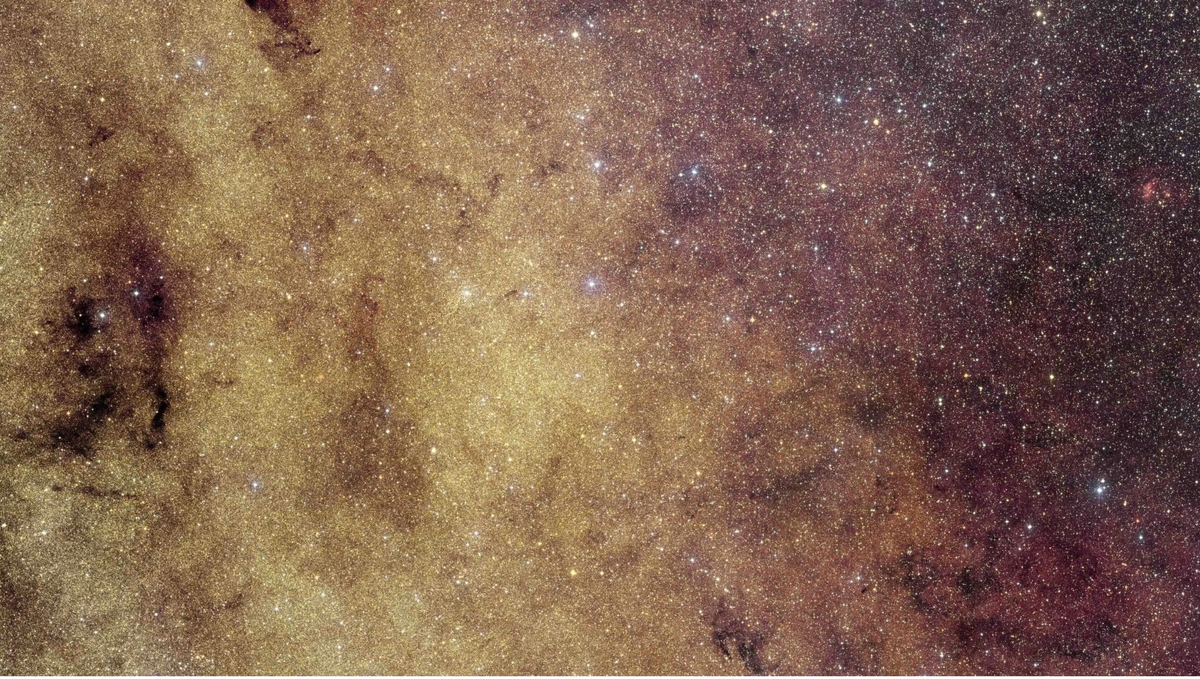 To boldly find