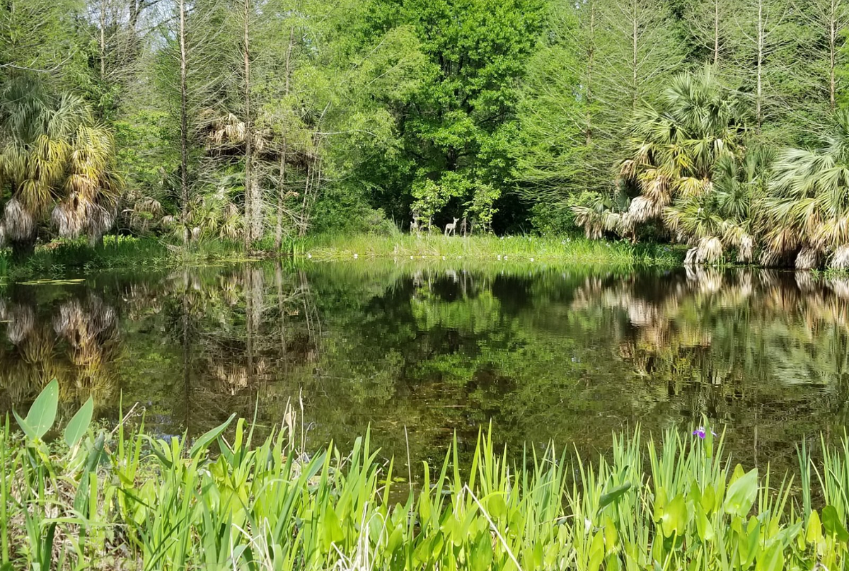 A good walk not spoiled