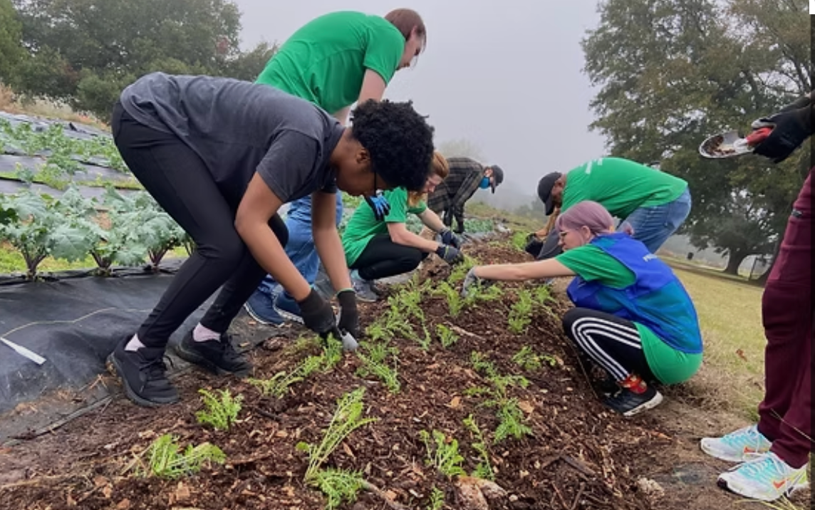 An urban farm for all