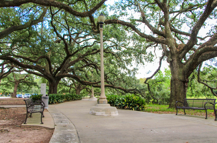 Two visions for a park