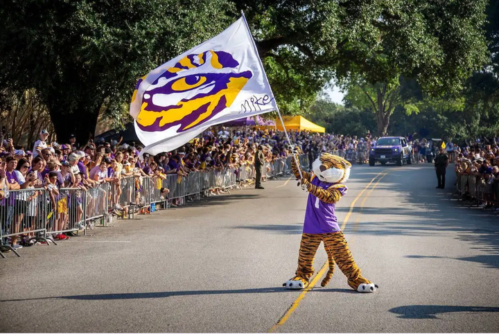 Purple and gold, and politically mixed