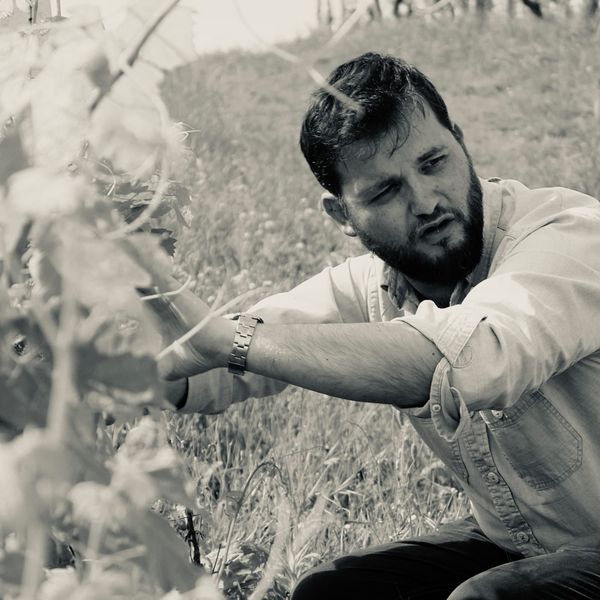 The Freedom to Be a Brush