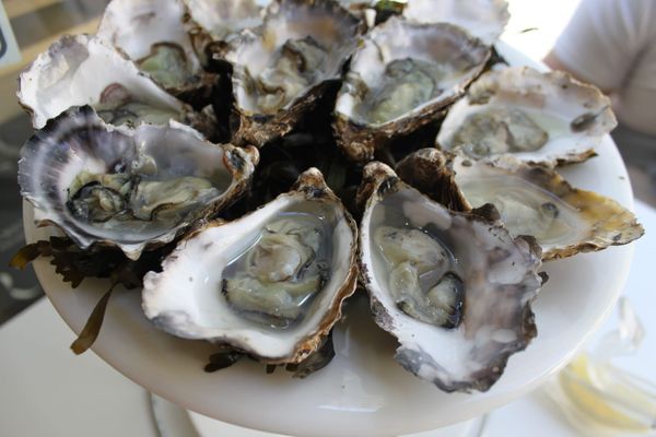 Writing practice: Your Favourite Dish