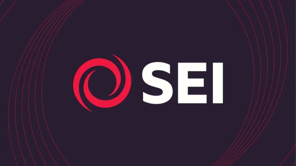 SEI: A winning collaboration!