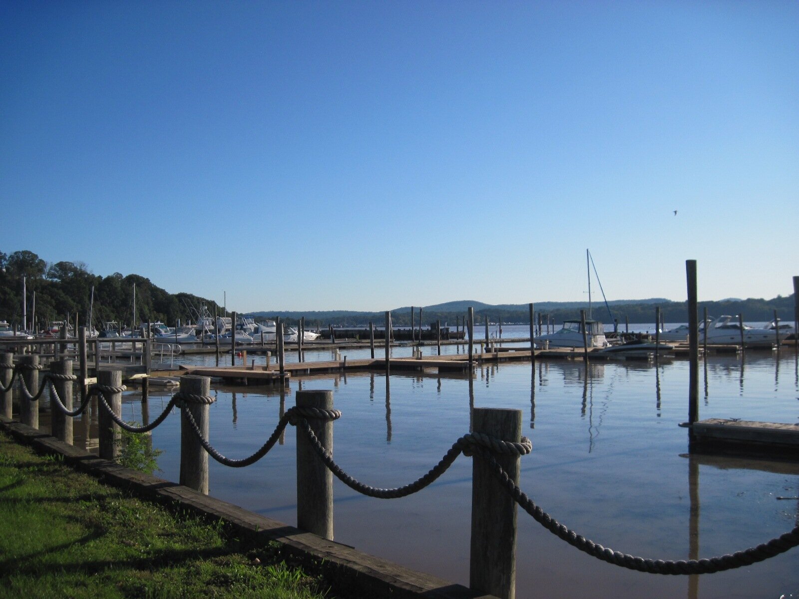 The Week My Father Died-www.roseyrebecca.com