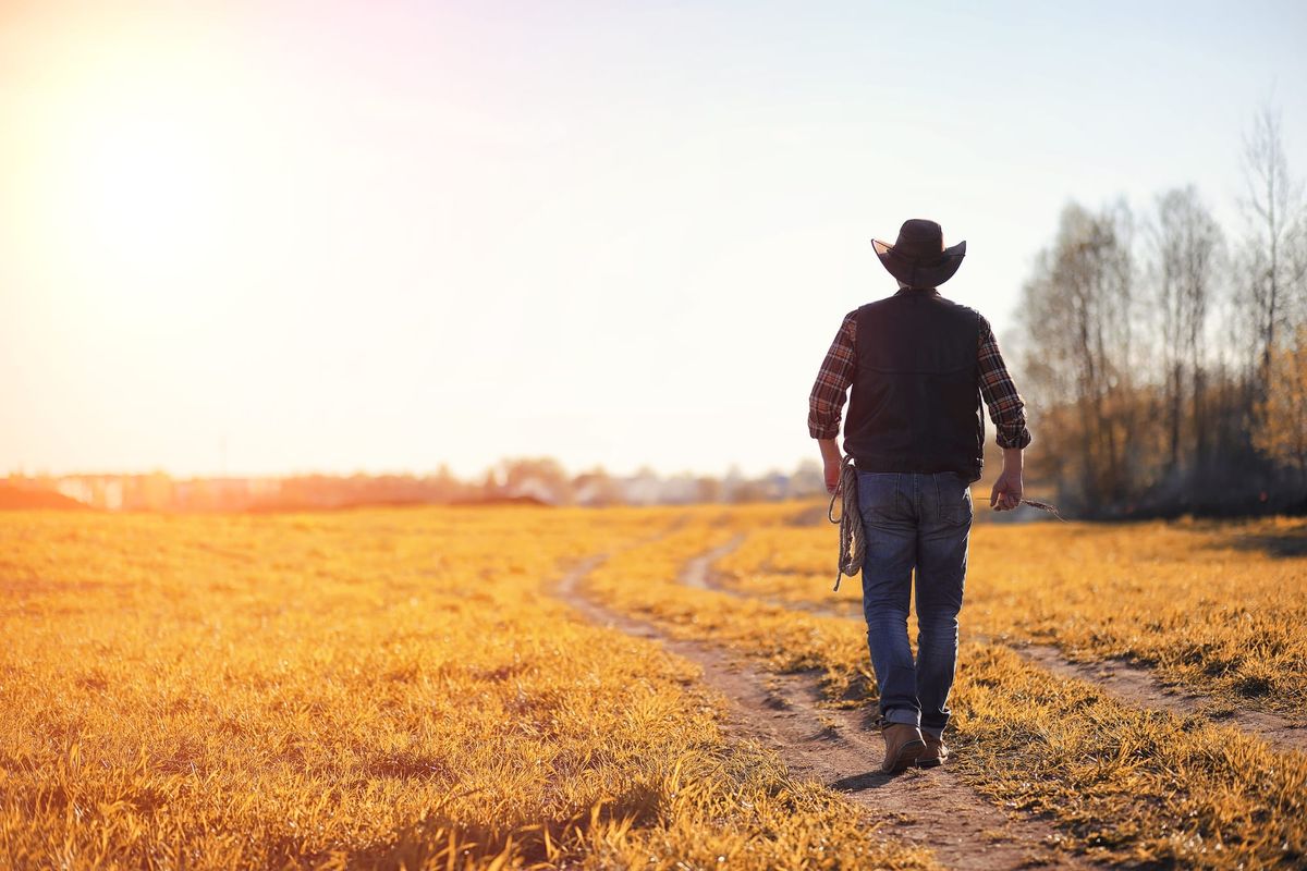 A lasting impact on your heifers and the bottom line