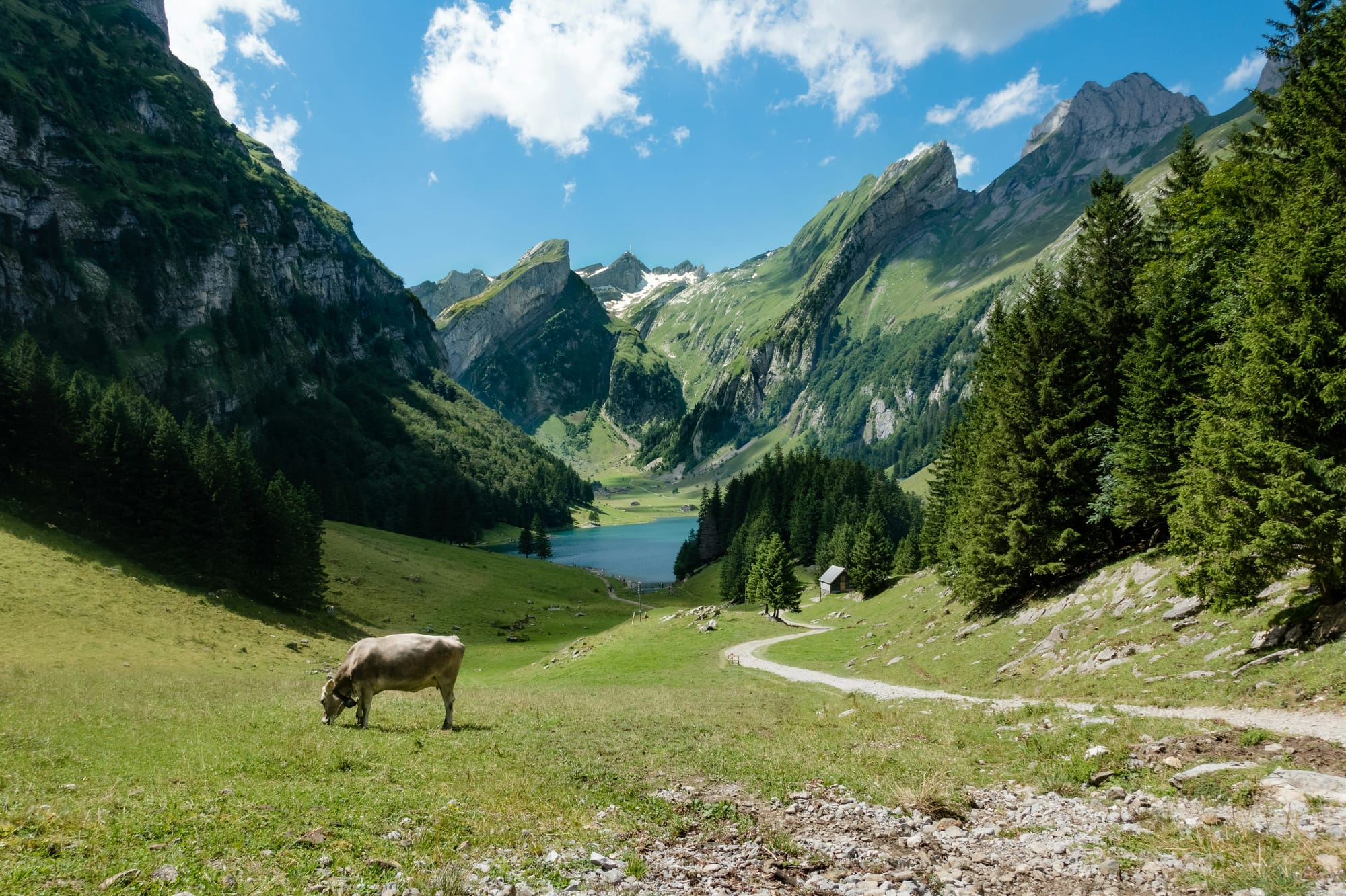 A Swiss Affair