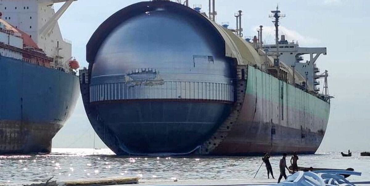 Molecules of Freedom