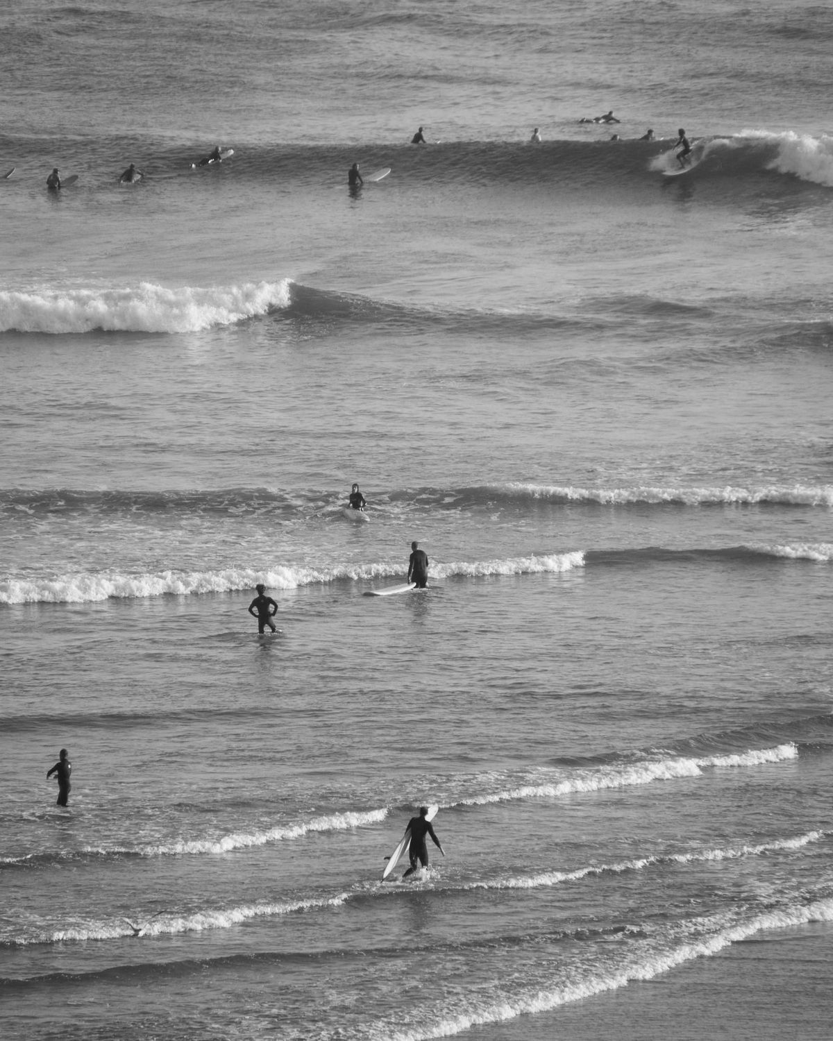 If waves could speak