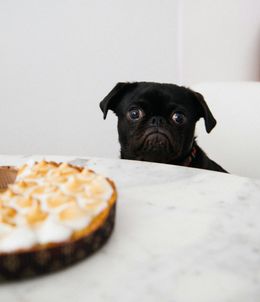 2025 is Giving the Aura of Body Fascism