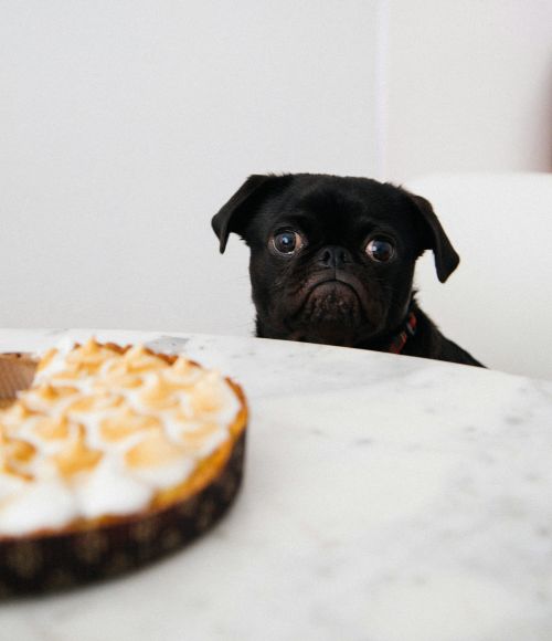 2025 is Giving the Aura of Body Fascism