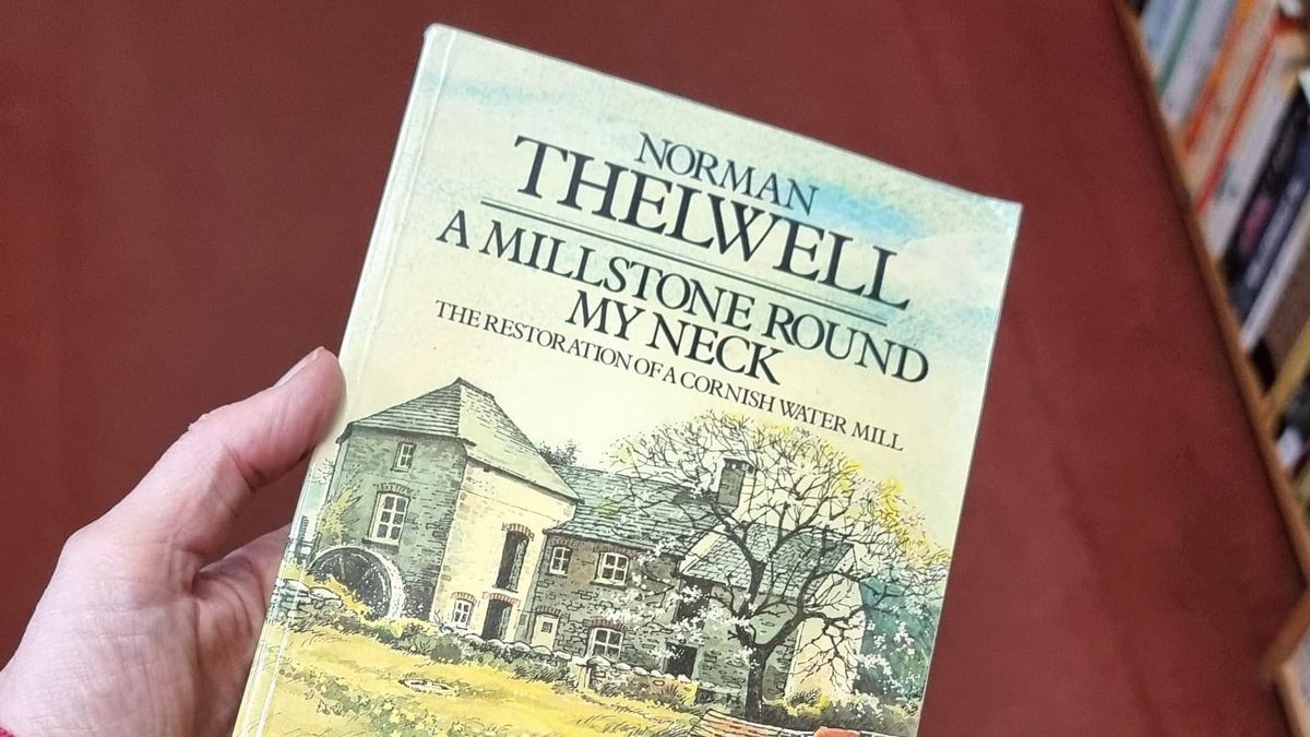 A Millstone round my Neck by Norman Thelwell