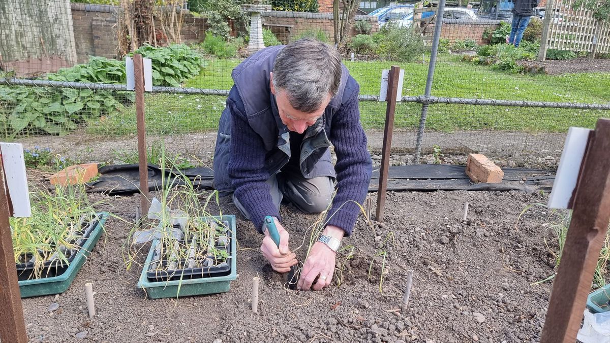 How we grow wheat at New Hall Mill