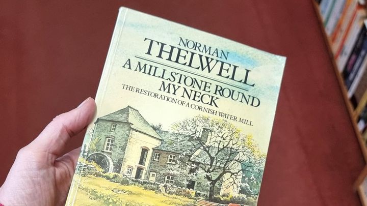 A Millstone round my Neck by Norman Thelwell