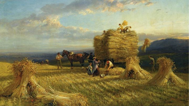 From the Farmer to the Miller