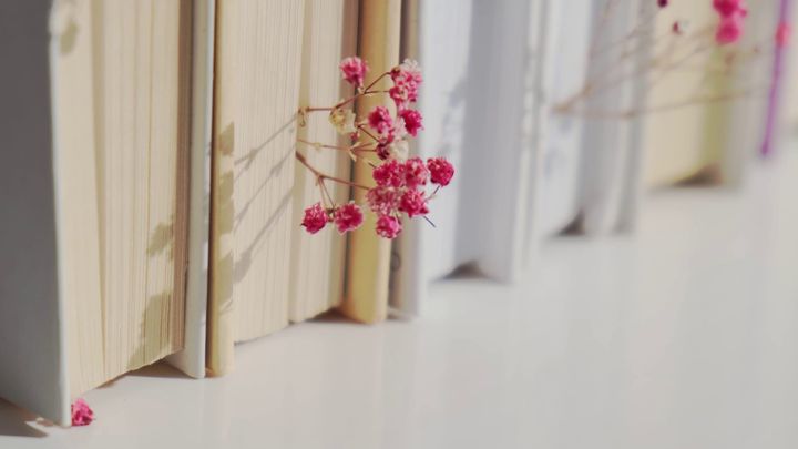 Leaflets from our archive