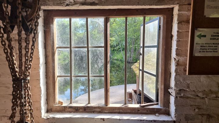 Group Visits to New Hall Mill