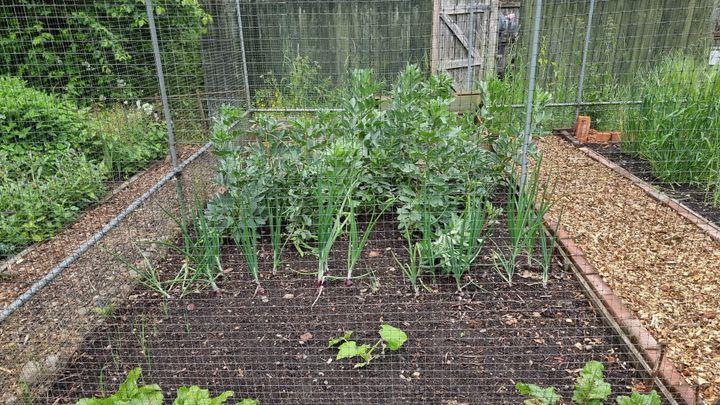 Crop rotation at New Hall Mill