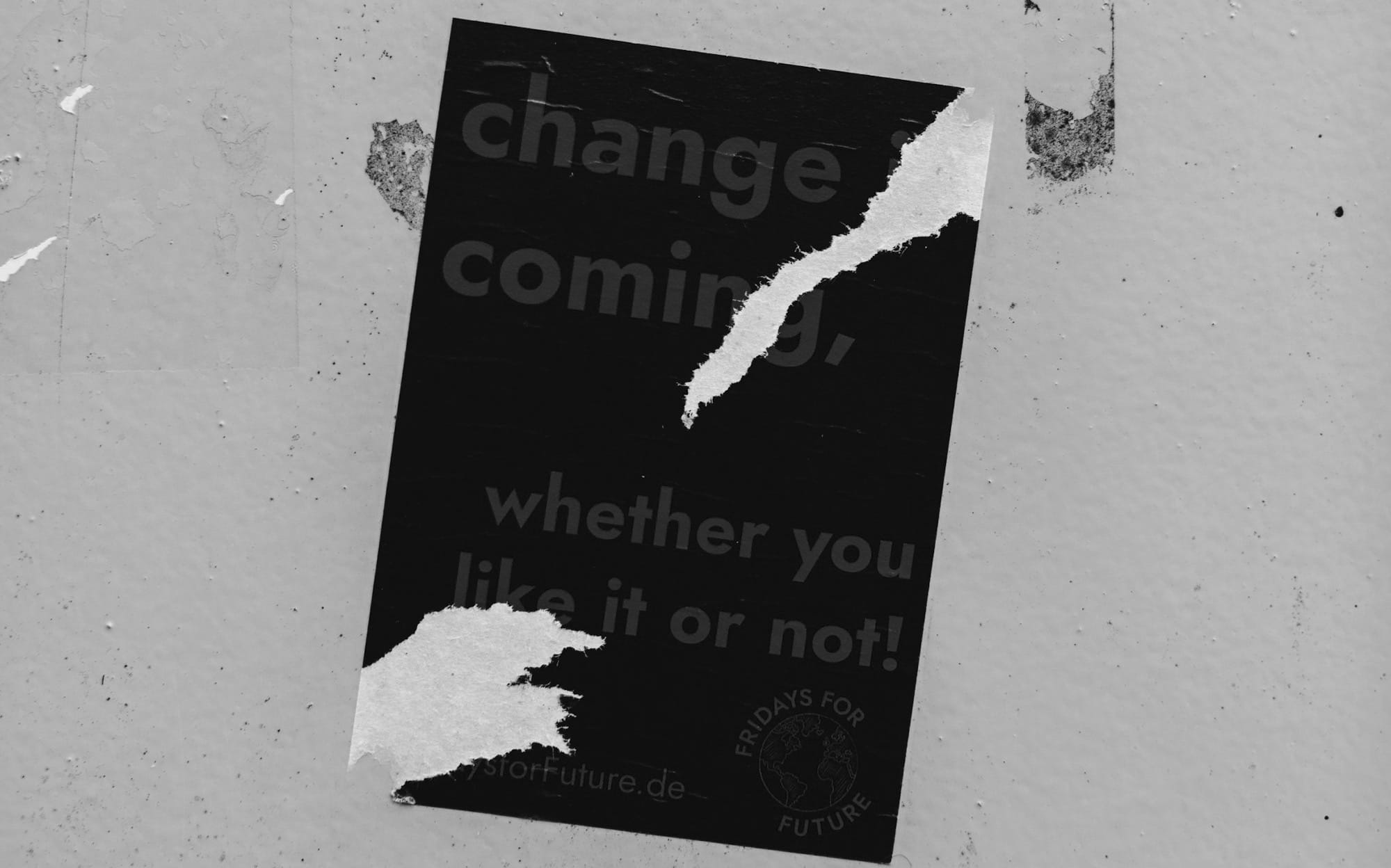 black and white wall mounted paper