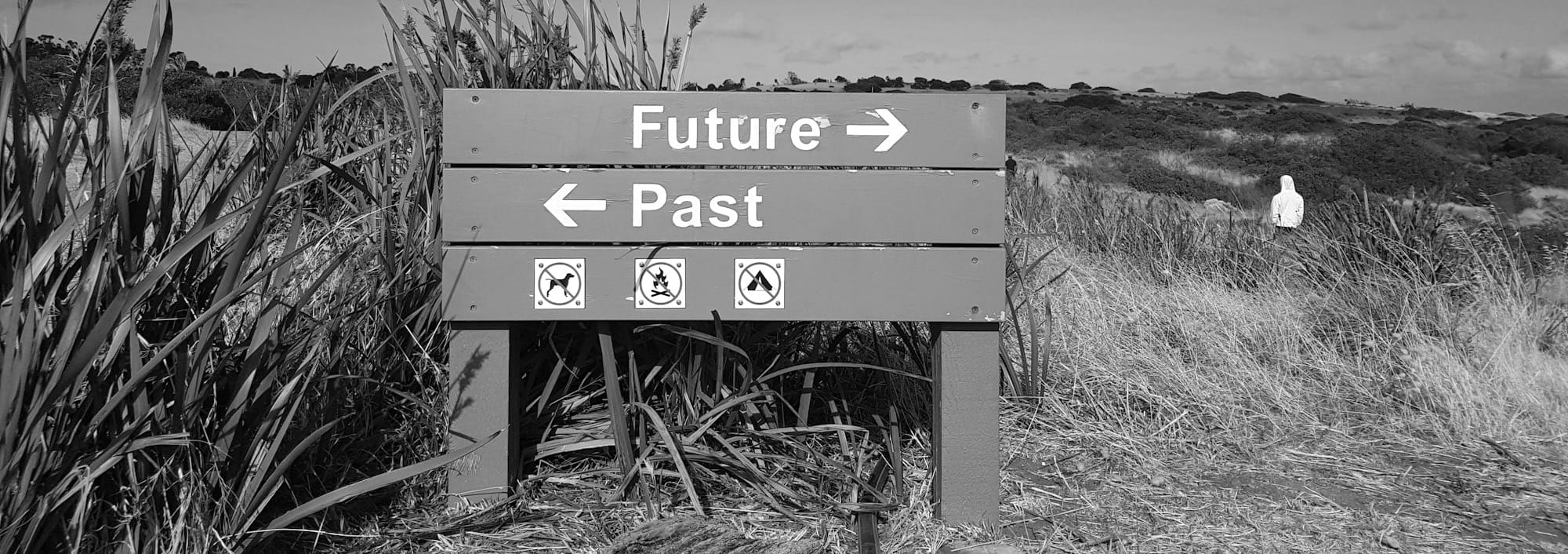 A grey wooden sign pointing to Future and Past in a grassy field