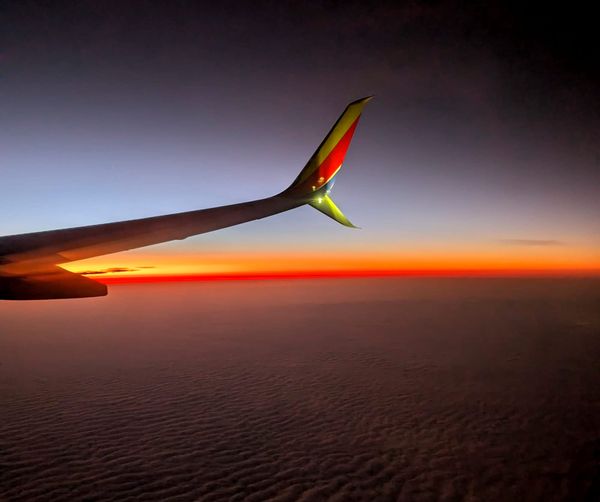 Random Food Review (NYC)